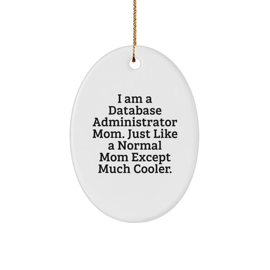 Funny Database Administrator Gifts, Oval Ornament, Christmas Unique Presents for DBA Mom, Dad, Friend, Coworker, Family - Image 1