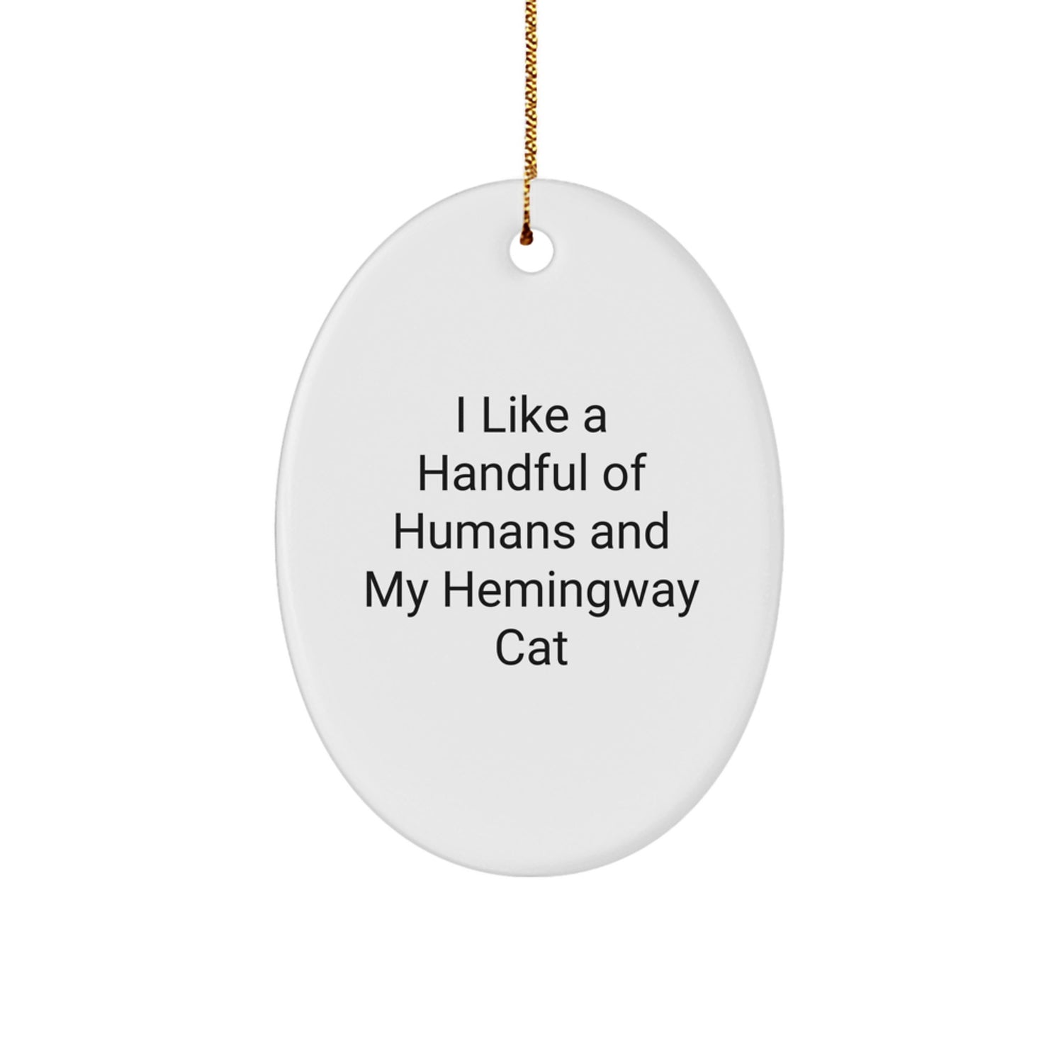 Funny Hemingway Cat Gifts from Men to Friends, Oval Ornament for Christmas Unique Gifts - Image 1