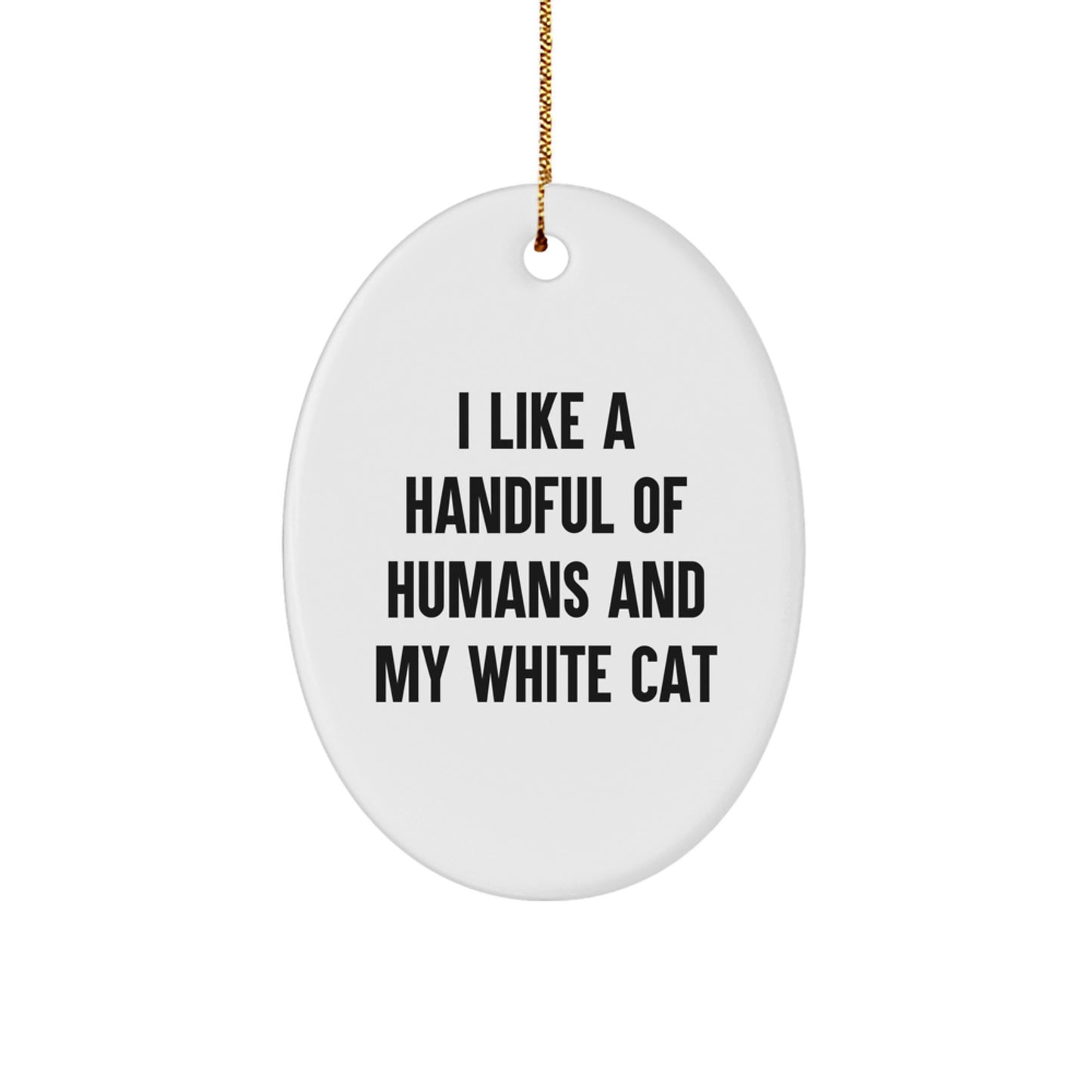 Funny White Cat Oval Ornament Gifts from Men to Friends for Christmas - Image 1