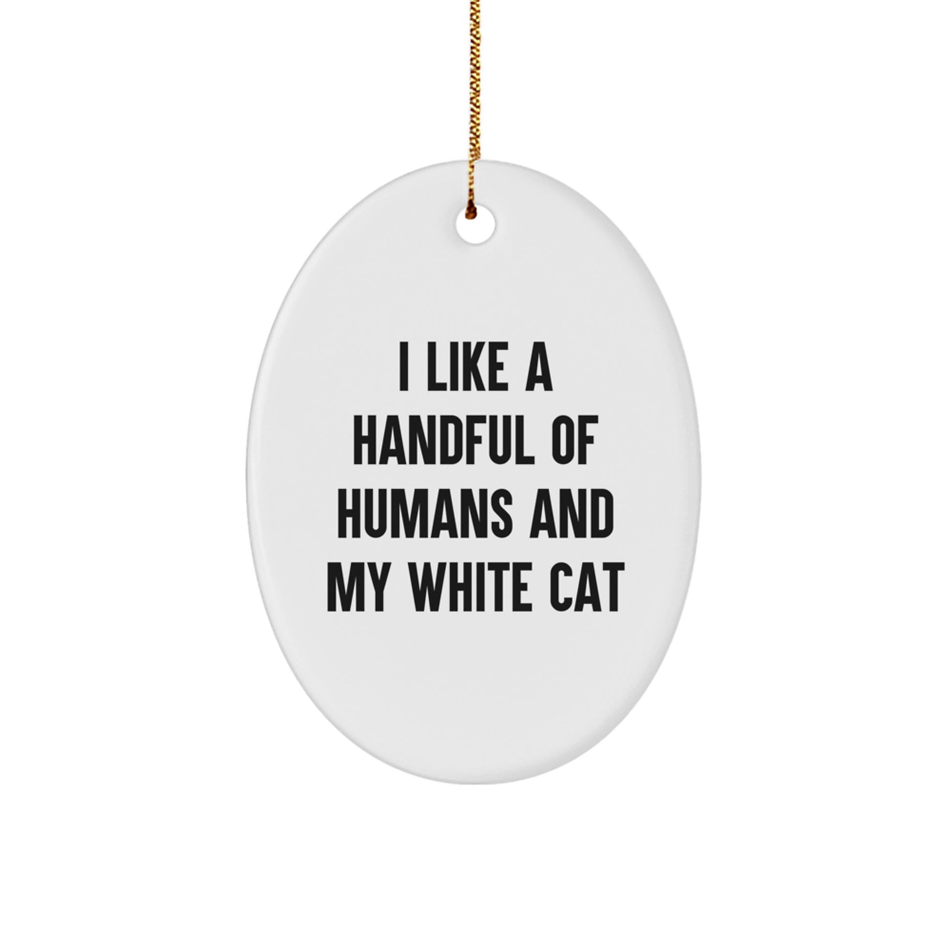 Funny White Cat Oval Ornament Gifts from Men to Friends for Christmas - Image 1