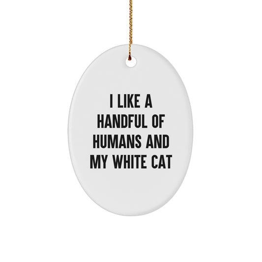 Funny White Cat Oval Ornament Gifts from Men to Friends for Christmas - Image 1