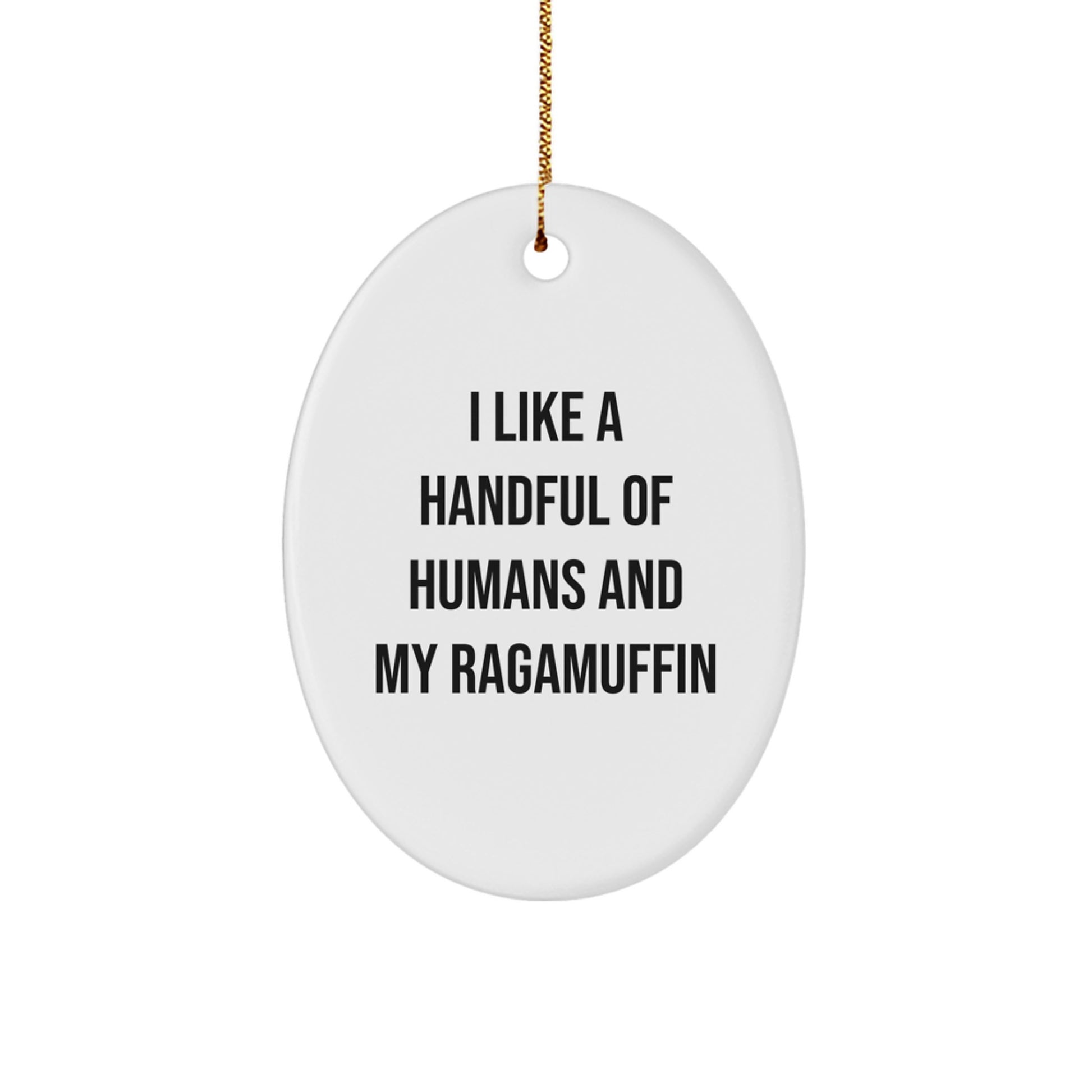 Funny Ragamuffin Cat Lover Gifts from Men for Friends and Family - Oval Ornament, I Like A Handful Of Humans And My Ragamuffin Cat Christmas Unique Decor - Image 1