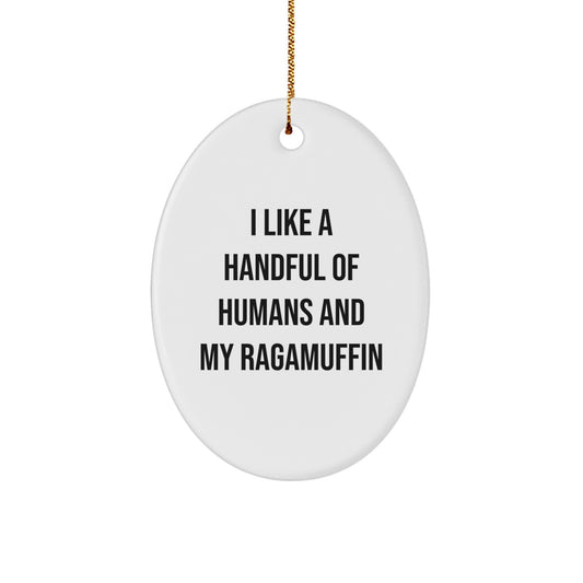 Funny Ragamuffin Cat Lover Gifts from Men for Friends and Family - Oval Ornament, I Like A Handful Of Humans And My Ragamuffin Cat Christmas Unique Decor - Image 1