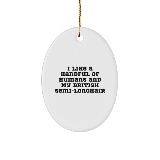 Funny British Semi-Longhair Cat Oval Ornament Gifts from Men Friends, for British Semi-Longhair Cat Owners, Unique Christmas Unique Gifts - Image 1