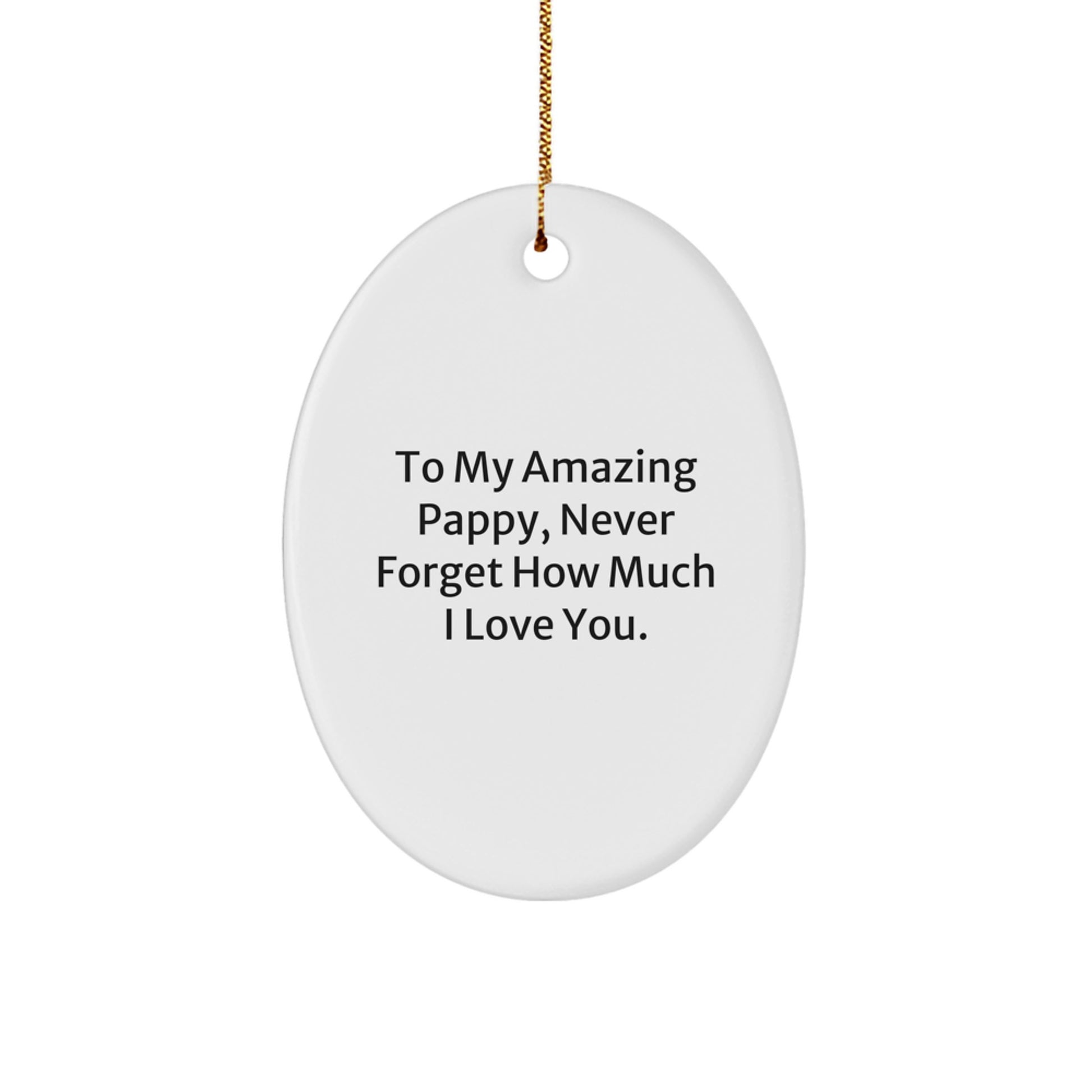 Funny Oval Ornament Gifts from Family to My Amazing Pappy, Never Forget How Much I Love You, Christmas Unique Gifts - Image 1