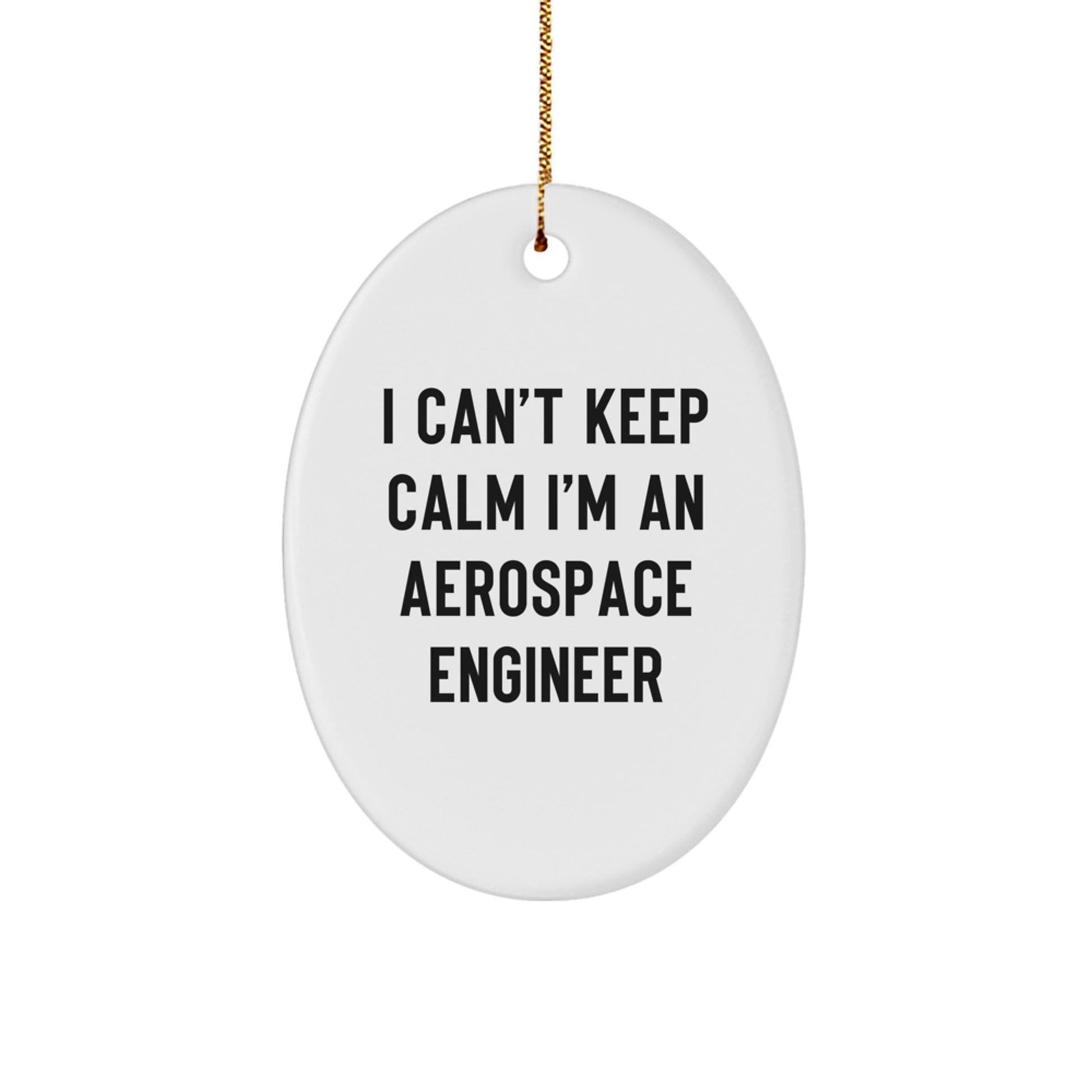 Funny Aerospace Engineer Gifts from Friends, I Can't Keep Calm Oval Ornament for Christmas Unique Presents, Aerospace Engineer Men Women - Image 1