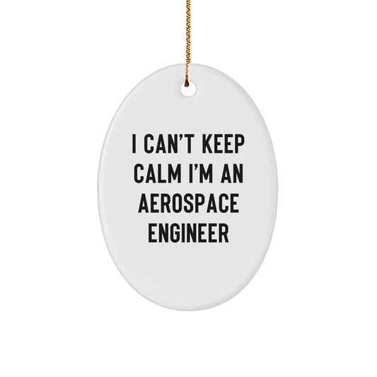 Funny Aerospace Engineer Gifts from Friends, I Can't Keep Calm Oval Ornament for Christmas Unique Presents, Aerospace Engineer Men Women - Image 1