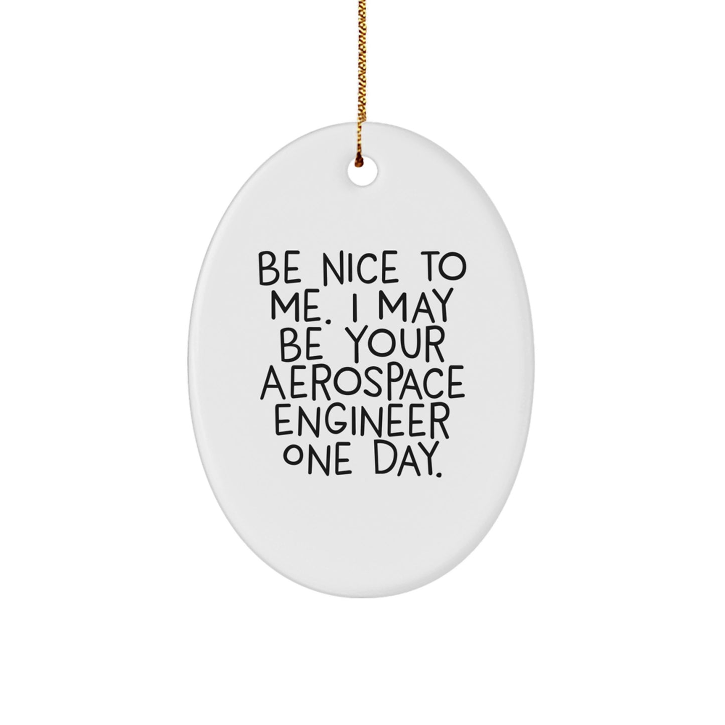 Aerospace Engineer Oval Ornament Funny Quote Gift for Men Women Friends Coworkers - Be Nice To Me One Day - Oval Shaped MDF Wood - Image 1