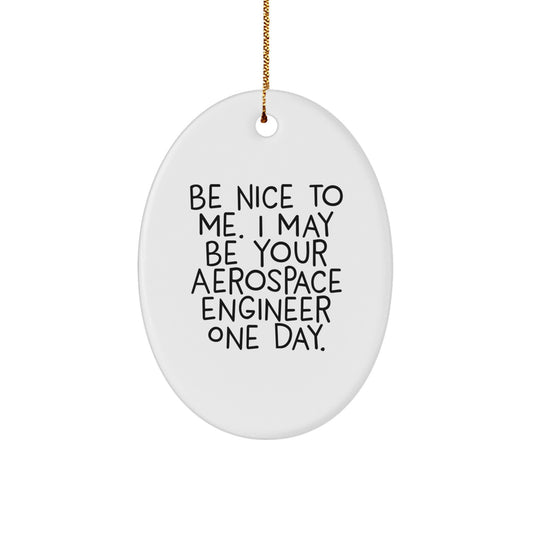Aerospace Engineer Oval Ornament Funny Quote Gift for Men Women Friends Coworkers - Be Nice To Me One Day - Oval Shaped MDF Wood - Image 1
