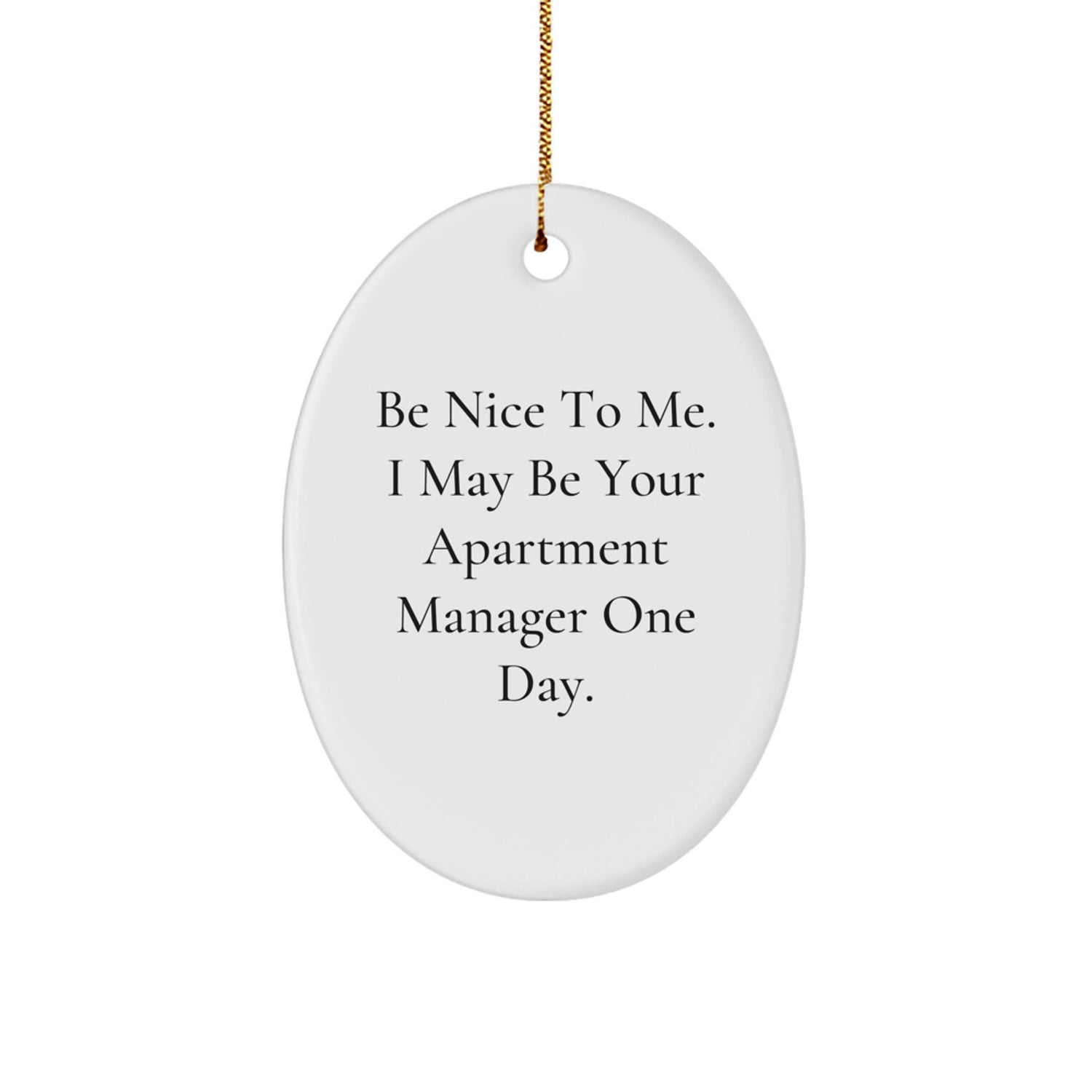 Funny Apartment Manager Gifts for Men, Funny Oval Ornament 'Be Nice to Me' - Christmas Unique Gifts from Friends and Family for Apartment Manager - Image 1