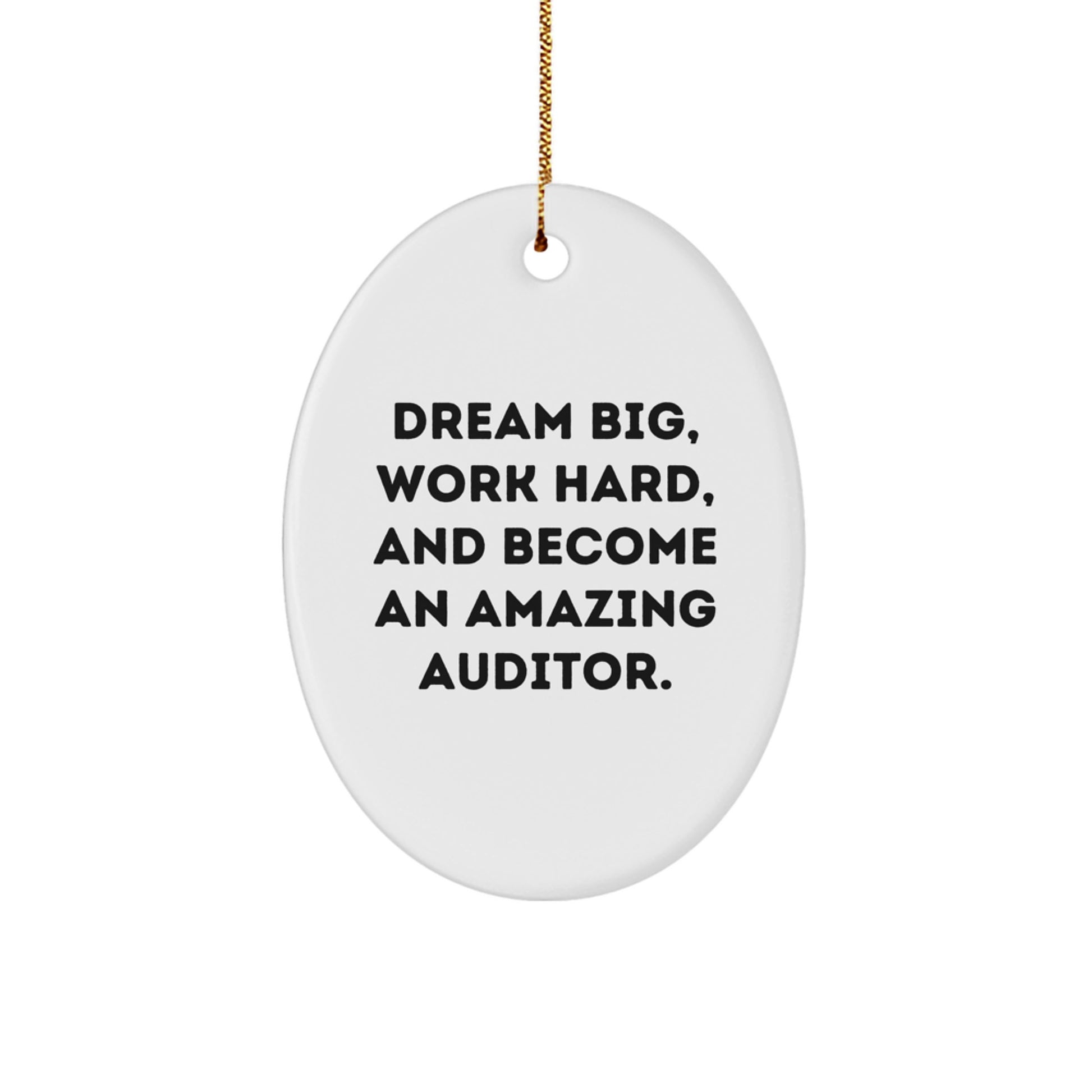 Funny Auditor Gifts from Friends, Oval Ornament for Men, Women, Coworkers, Family - Dream Big, Work Hard, And Become An Amazing Auditor. - Image 1