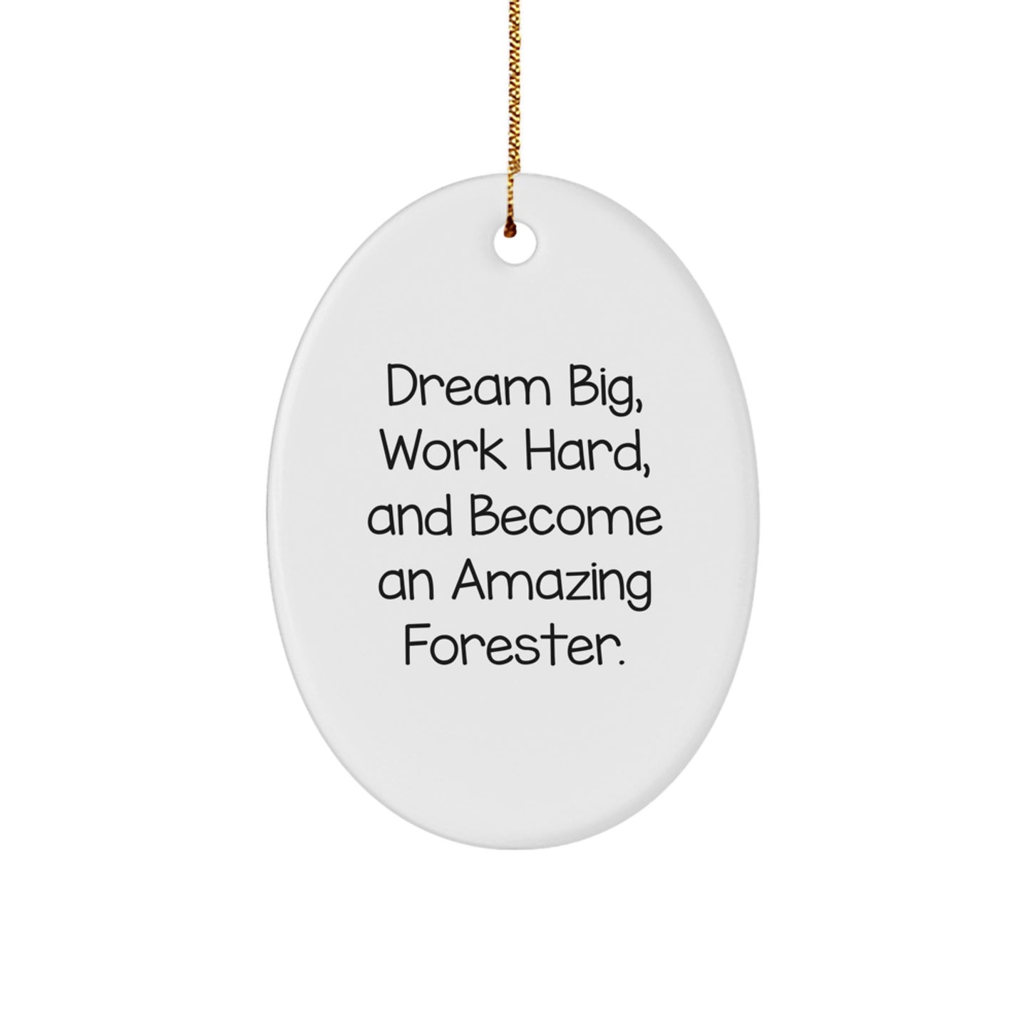 Gifts from Friends for Forester Men, Funny Christmas Ornament with Dream Big Quote, Oval Shaped MDF Decor - Image 1