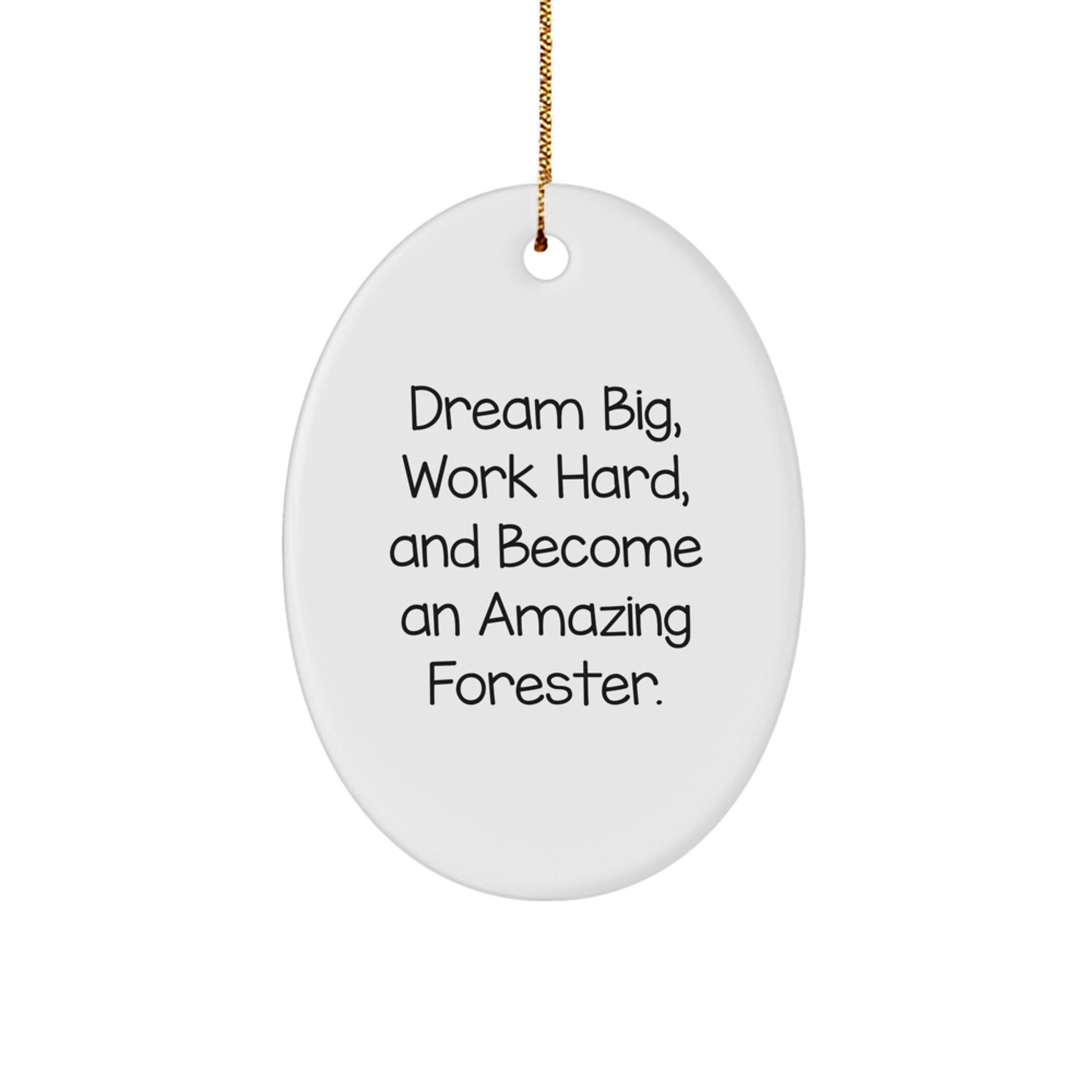 Gifts from Friends for Forester Men, Funny Christmas Ornament with Dream Big Quote, Oval Shaped MDF Decor - Image 1