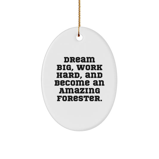 Funny Forester Gifts for Friends, Christmas Unique Gifts for Men, Oval Ornament with Dream Big Quote - Image 1