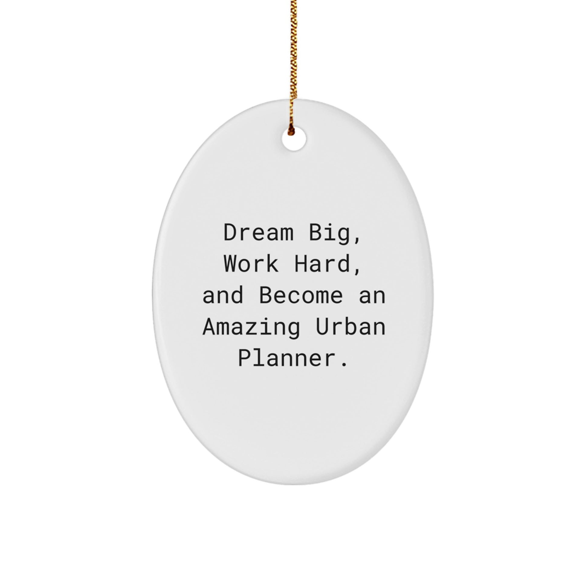 Urban Planner Christmas Unique Gifts from Friends, Oval Ornament - Dream Big, Work Hard, And Become An Amazing Urban Planner. - Image 1