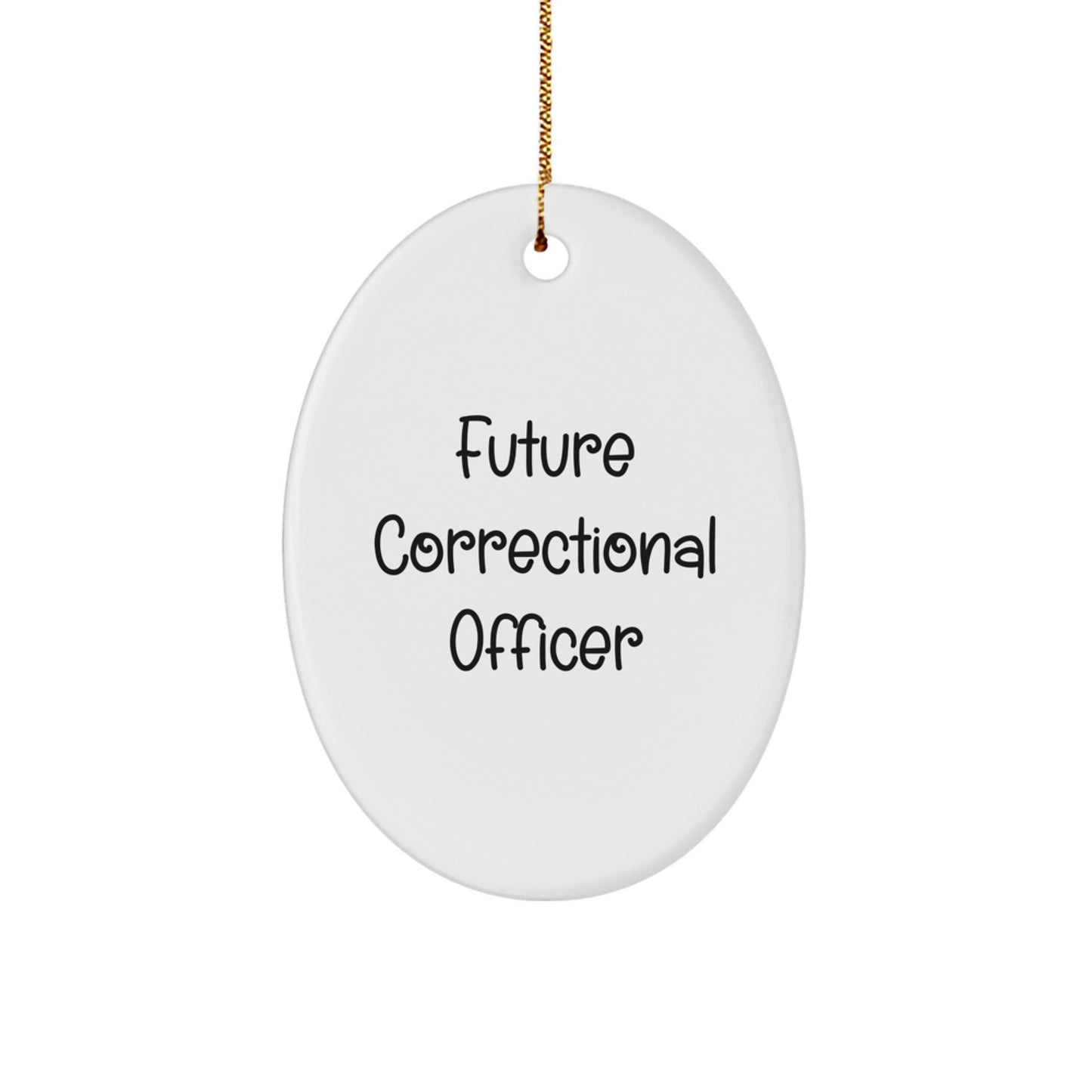 Funny Quote Gifts from Family for Correctional Officer, Oval Ornament, Funny Correctional Officer Christmas Unique Gifts - Image 1
