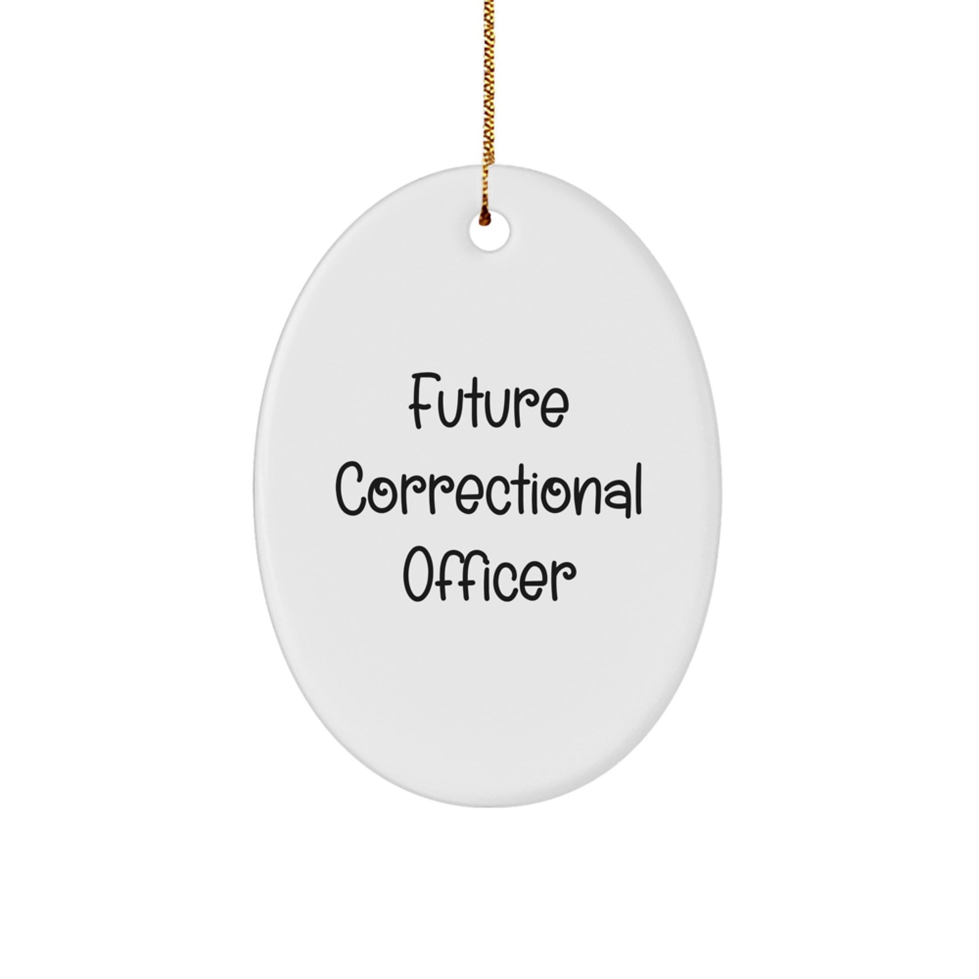 Funny Quote Gifts from Family for Correctional Officer, Oval Ornament, Funny Correctional Officer Christmas Unique Gifts - Image 1