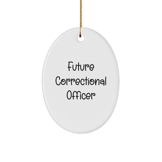 Funny Quote Gifts from Family for Correctional Officer, Oval Ornament, Funny Correctional Officer Christmas Unique Gifts - Image 1