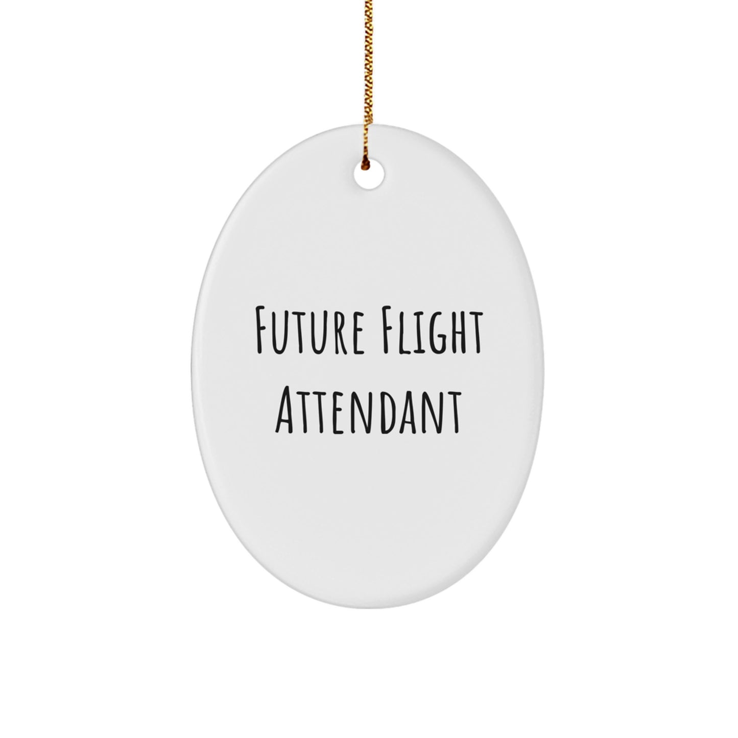 Funny Future Flight Attendant Gifts for Coworkers, Friends, and Family - Oval Ornament with Inspirational Quote, Christmas Unique Decorations from Men, Women - Image 1