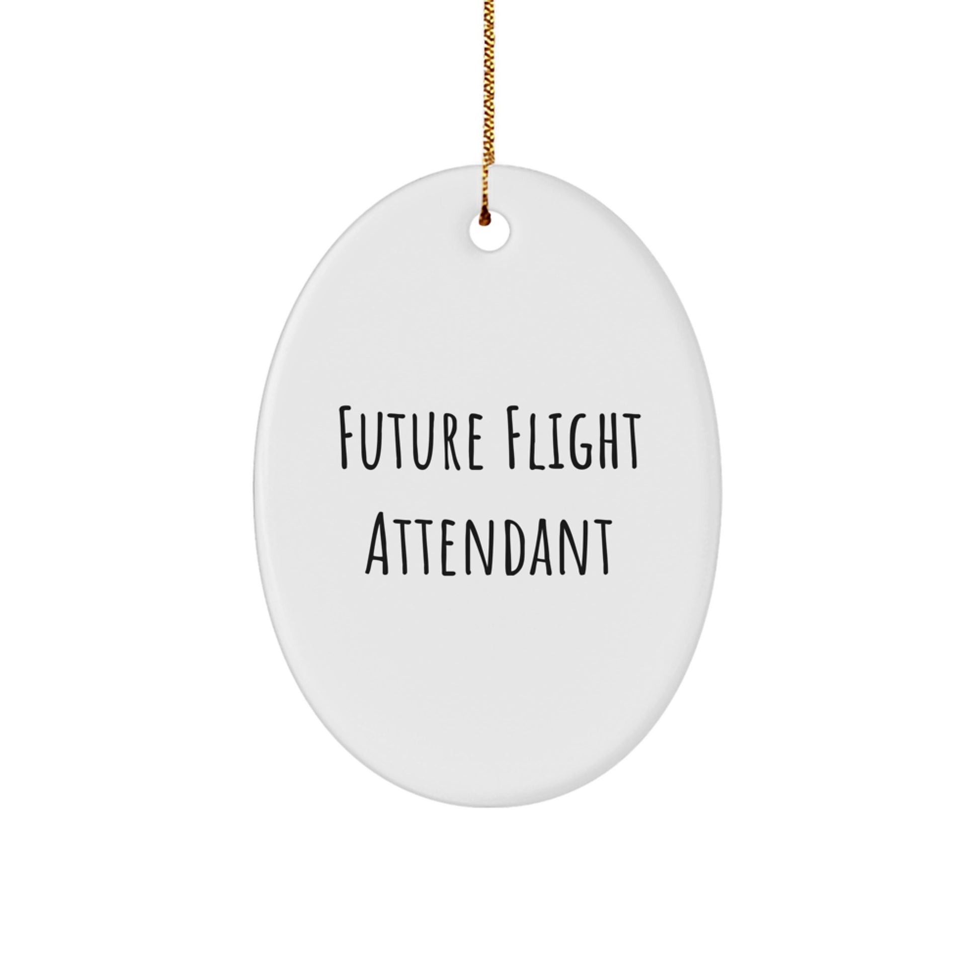 Funny Future Flight Attendant Gifts for Coworkers, Friends, and Family - Oval Ornament with Inspirational Quote, Christmas Unique Decorations from Men, Women - Image 1