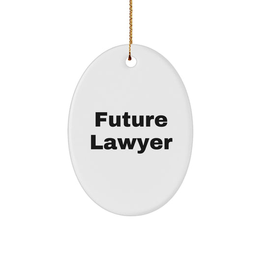 Funny Lawyer Gifts for Men, Christmas Unique Oval Ornament with 'Future Lawyer' Quote, Gifts from Family to Lawyer - Image 1