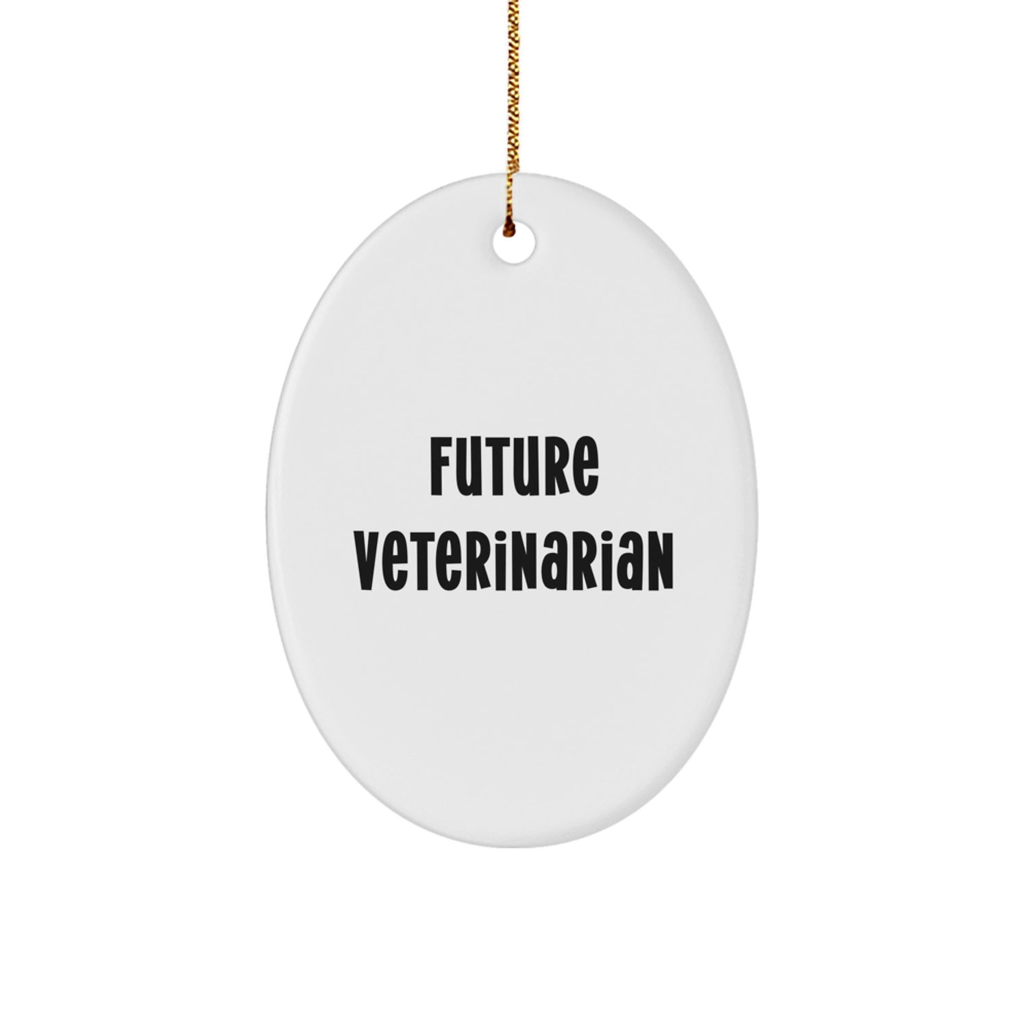 Funny Future Veterinarian Oval Ornament Gifts from Family for Christmas Unique Gifts - Image 1