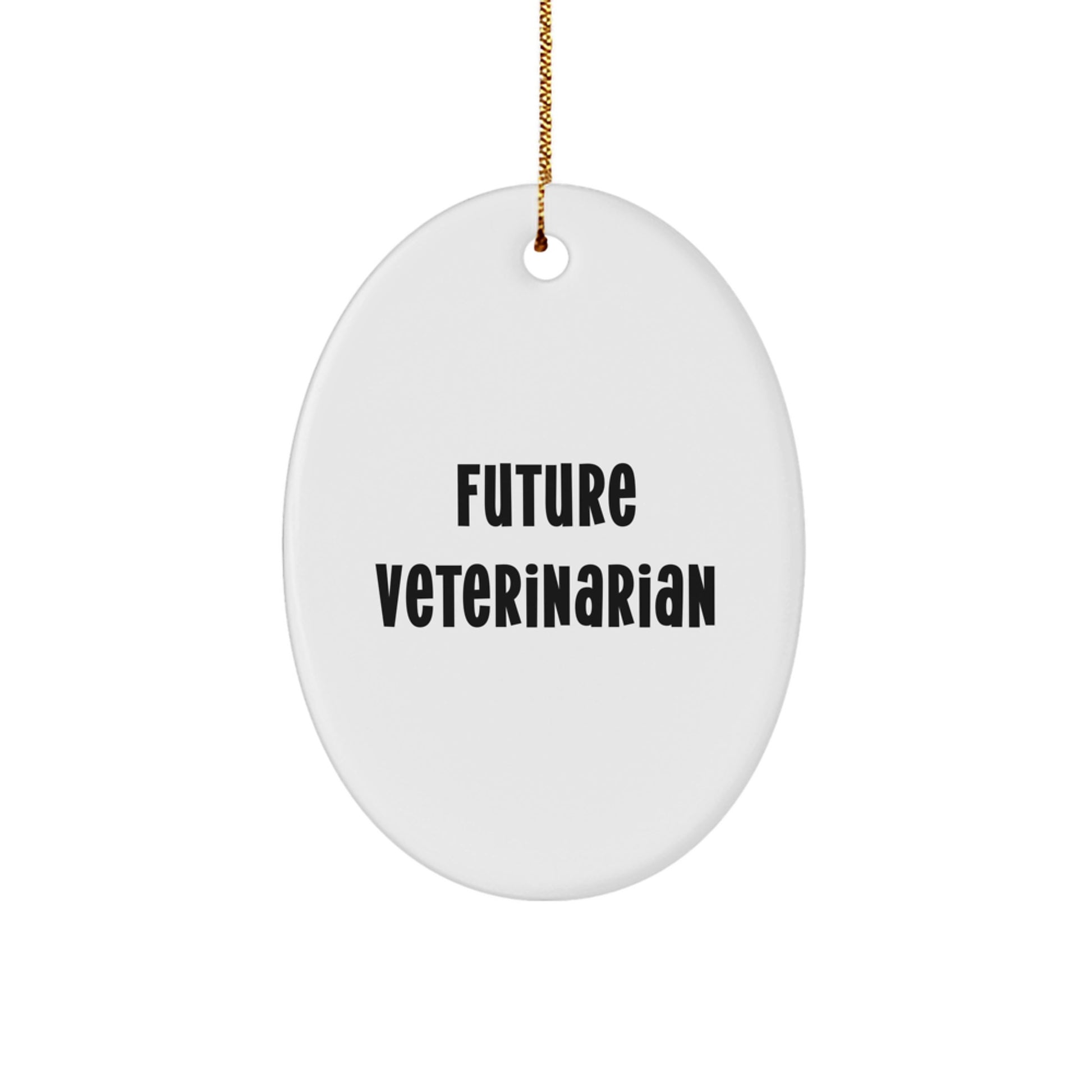 Funny Future Veterinarian Oval Ornament Gifts from Family for Christmas Unique Gifts - Image 1