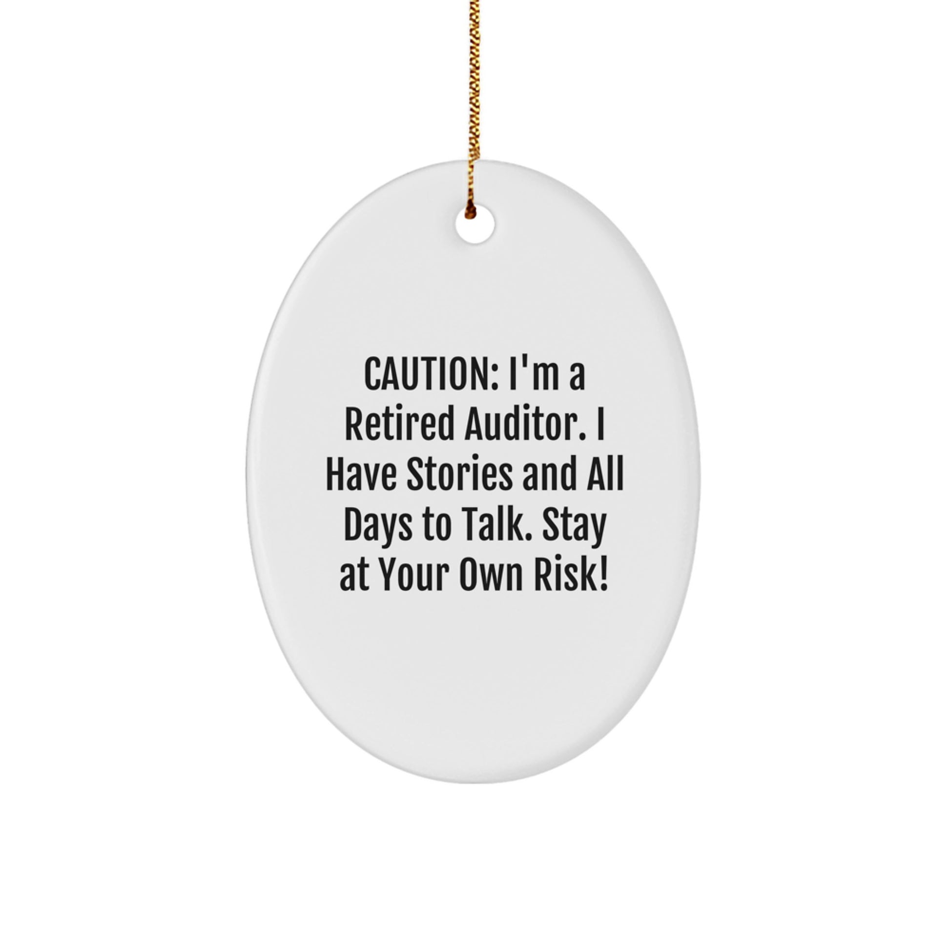 Fun Oval Auditor Ornament, Gifts from Family, Friends, Coworkers for Auditor Christmas Unique - Image 1