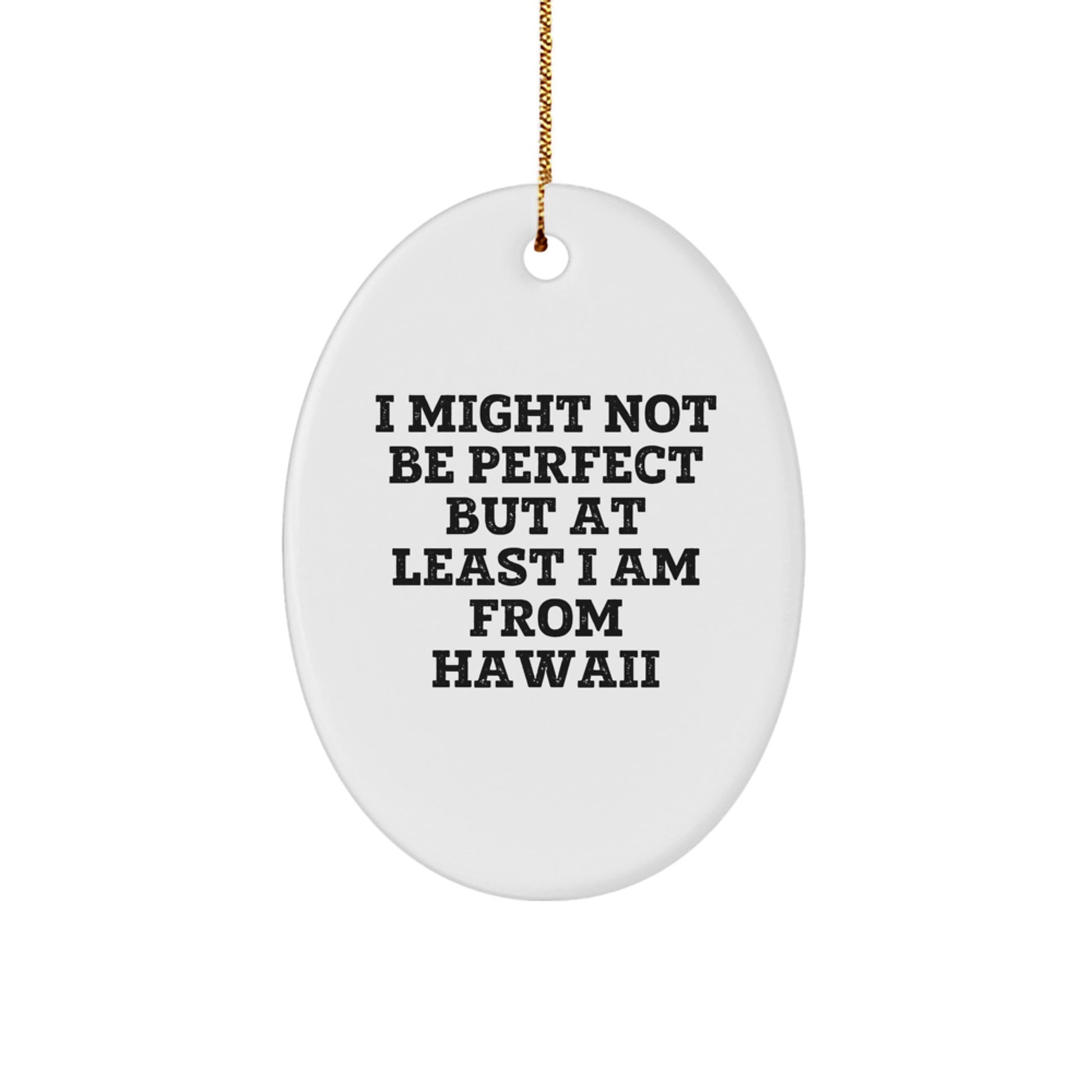Hawaii Oval Ornament Gifts from Friends, Family, or Coworkers for Christmas Unique Decorations - Image 1