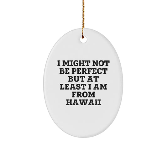 Hawaii Oval Ornament Gifts from Friends, Family, or Coworkers for Christmas Unique Decorations - Image 1