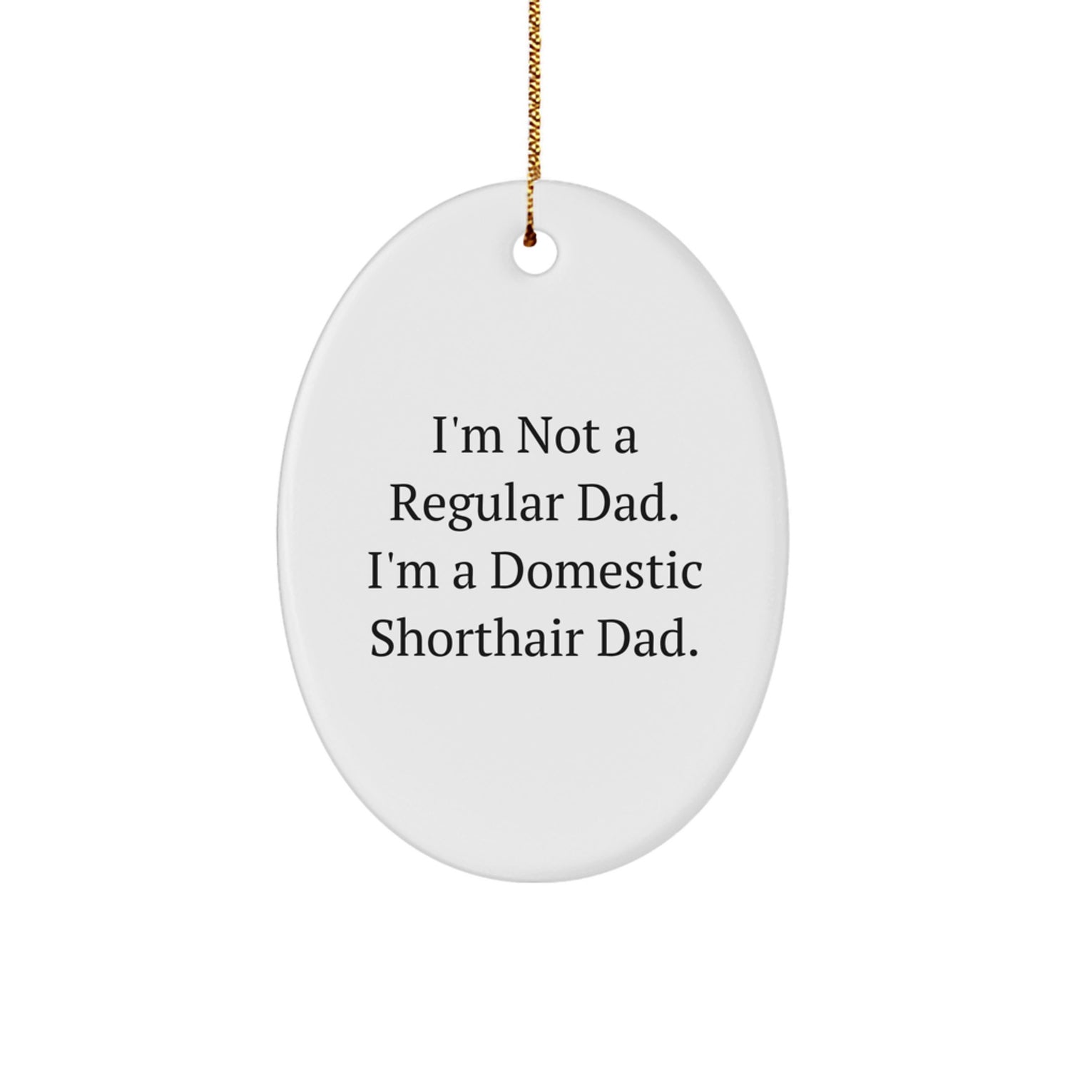 Funny Domestic Shorthair Cat Dad Gifts from Men, Unique Christmas Decorations for Home, Oval Ornament for Cat Lovers, I'm Not A Regular Dad. - Image 1