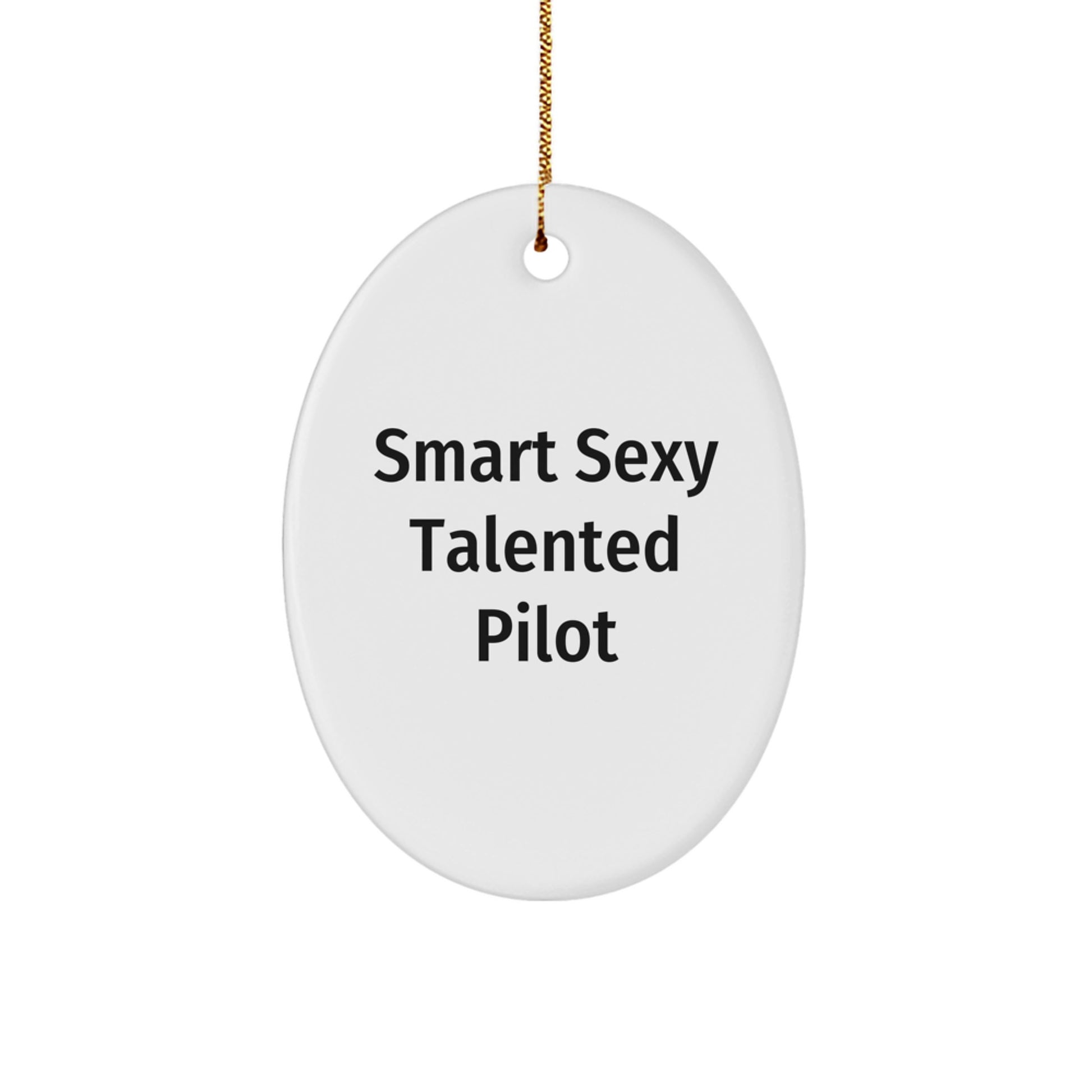 Funny Smart Sexy Talented Pilot Oval Ornament Gifts for Pilot Friends Family Christmas Decorations - Image 1
