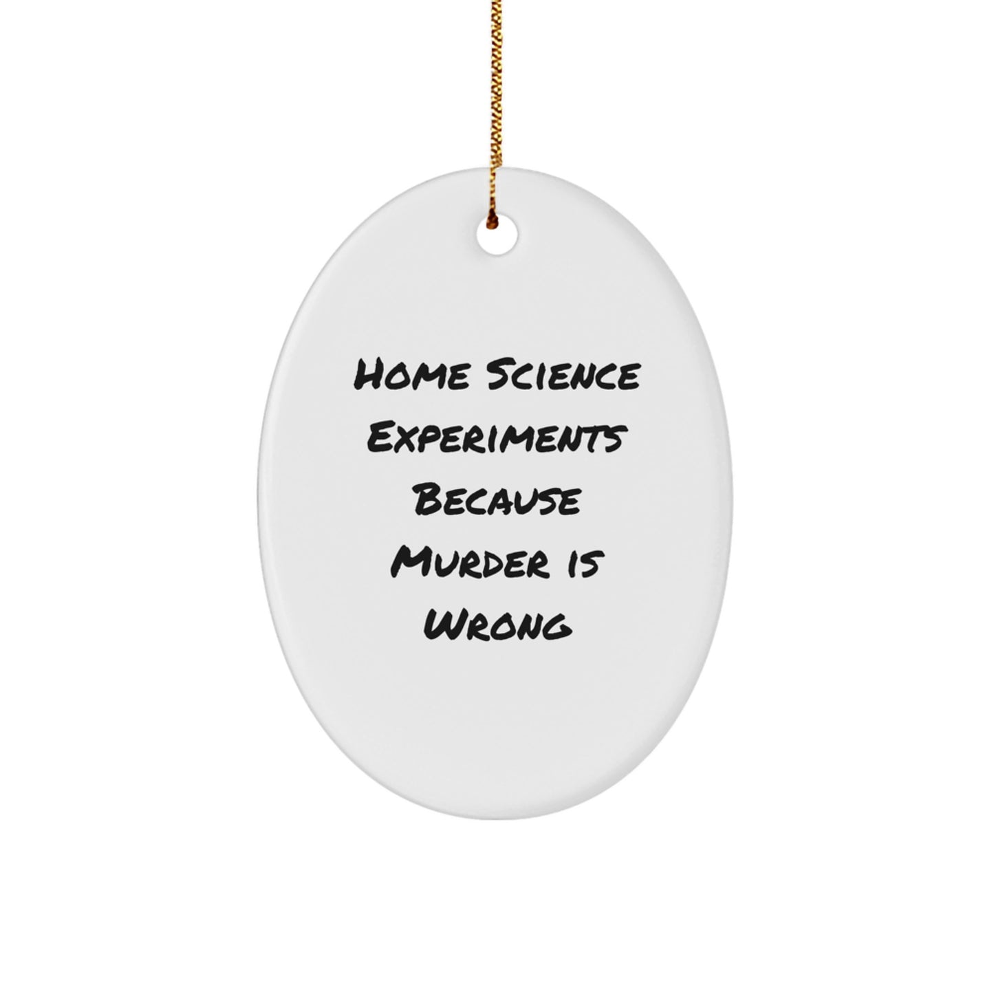 Funny Home Science Experiments Gifts for Friends, Oval Ornament Christmas Unique Ideas from Men or Women, Home Science Experiments Because Murder Is Wrong - Image 1