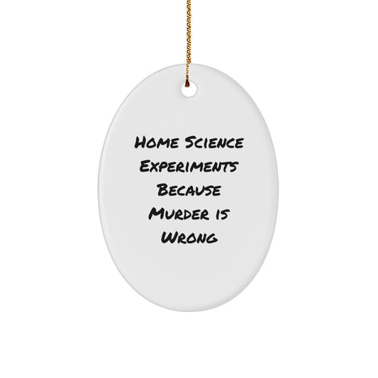 Funny Home Science Experiments Gifts for Friends, Oval Ornament Christmas Unique Ideas from Men or Women, Home Science Experiments Because Murder Is Wrong - Image 1