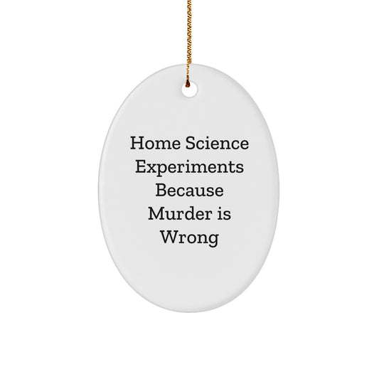 Gifts from Friends for Home Science Experiments Enthusiasts - Oval Ornament, Funny Quote, Christmas Unique Decor, Home Science Experiments Because Murder Is Wrong - Image 1