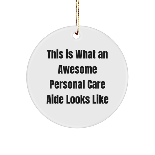 Personal Care Aide Gifts from Friends for Awesome Personal Care Aides, Circle Ornament, Funny Christmas Decorations, Gifts from Friends, Gifts for Personal Care Aides - Victory Thru Vision 