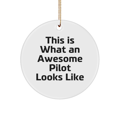 Pilot Gifts, This Is What An Awesome Pilot Looks Like, Circle Ornament, Christmas Unique Gifts from Friends to Pilot, Perfect for Decorations - Victory Thru Vision