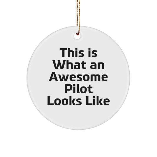 Pilot Gifts, This Is What An Awesome Pilot Looks Like, Circle Ornament, Christmas Unique Gifts from Friends to Pilot, Perfect for Decorations - Victory Thru Vision