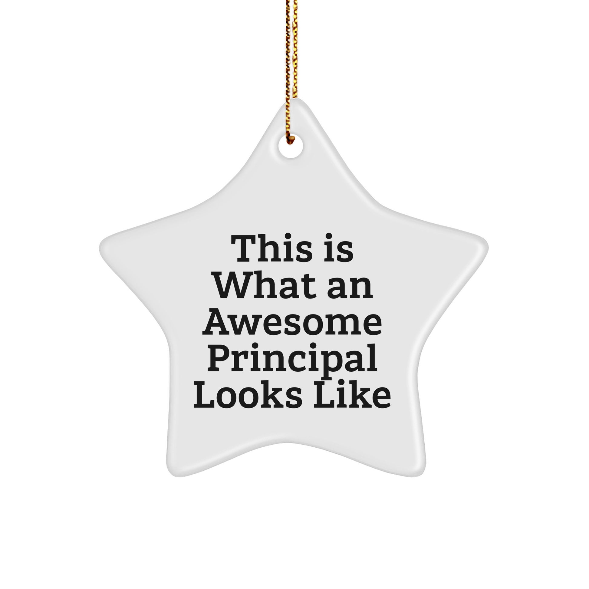 Principal Star Ornament, Funny and Inspirational, Gifts from Family, for Christmas, This Is What An Awesome Principal Looks Like - Victory Thru Vision 