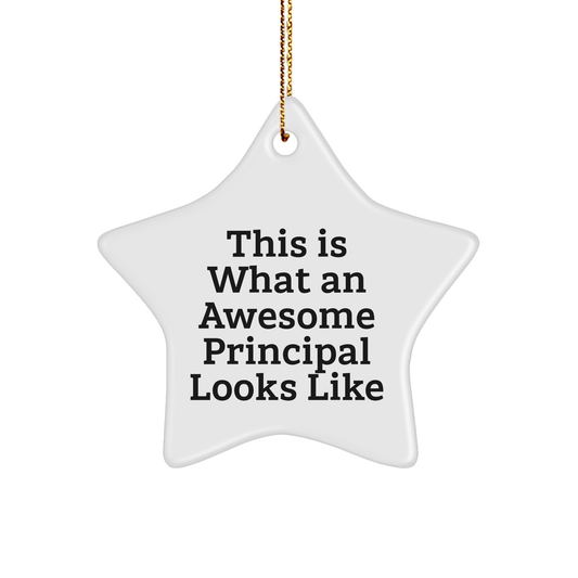 Principal Star Ornament, Funny and Inspirational, Gifts from Family, for Christmas, This Is What An Awesome Principal Looks Like - Victory Thru Vision 