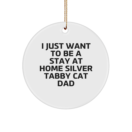 Silver Tabby Cat Dad Gifts from Friends for Men - Funny Circle Ornament, 'I Just Want To Be A Stay At Home Silver Tabby Cat Dad', Christmas Unique Gifts for Him - Victory Thru Vision 