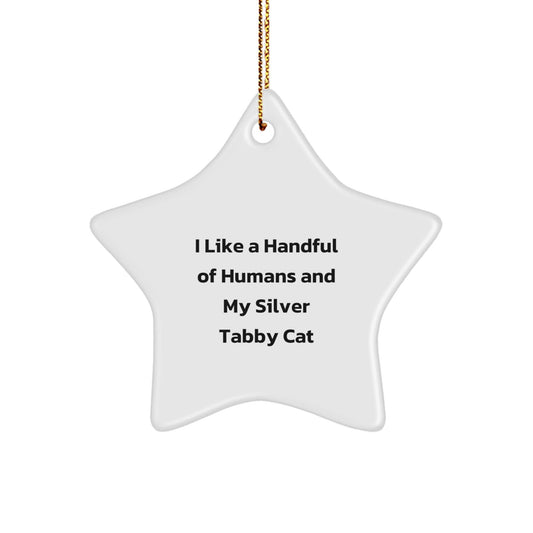 Silver Tabby Cat Lovers Gifts from Friends for Christmas - Star Ornament with Funny Quote - Victory Thru Vision