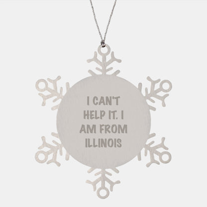 Funny Illinois Christmas Snowflake Ornaments Gifts from Friends to Illinois Family and Friends - Image 1