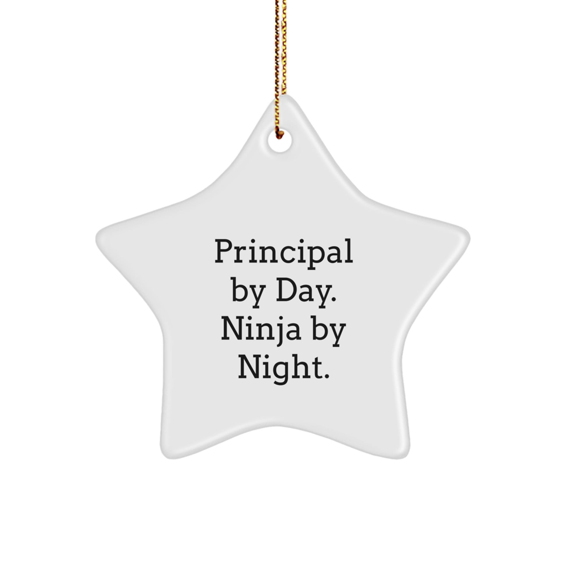 Principal by Day, Star Ornament by Night, Funny Christmas Unique Gift for Principal, Principal Gifts from Men, Star Ornament for Principal's Desk - Image 1