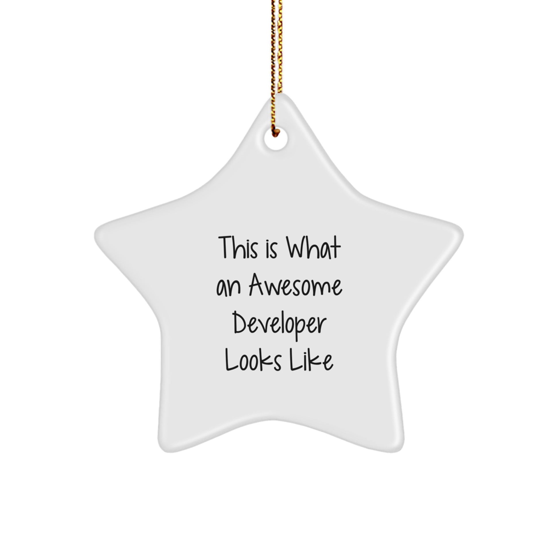 Funny Developer Gifts, This Is 'What An Awesome Developer Looks Like' Star Ornament for Men Women Family, Christmas Unique Gifts from Friends Coworkers - Image 1