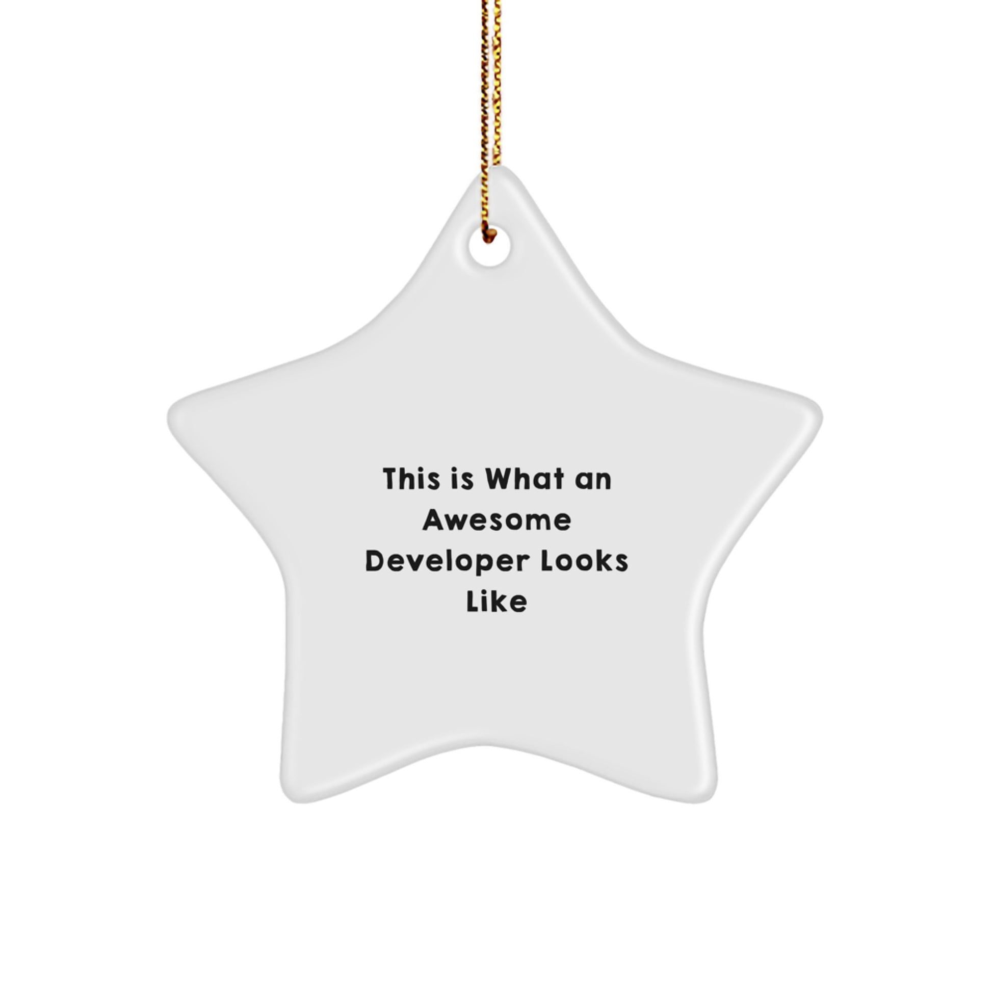 Funny Developer Star Ornament Gifts from Friends for Men and Women Coworkers Christmas Unique Gifts - Image 1