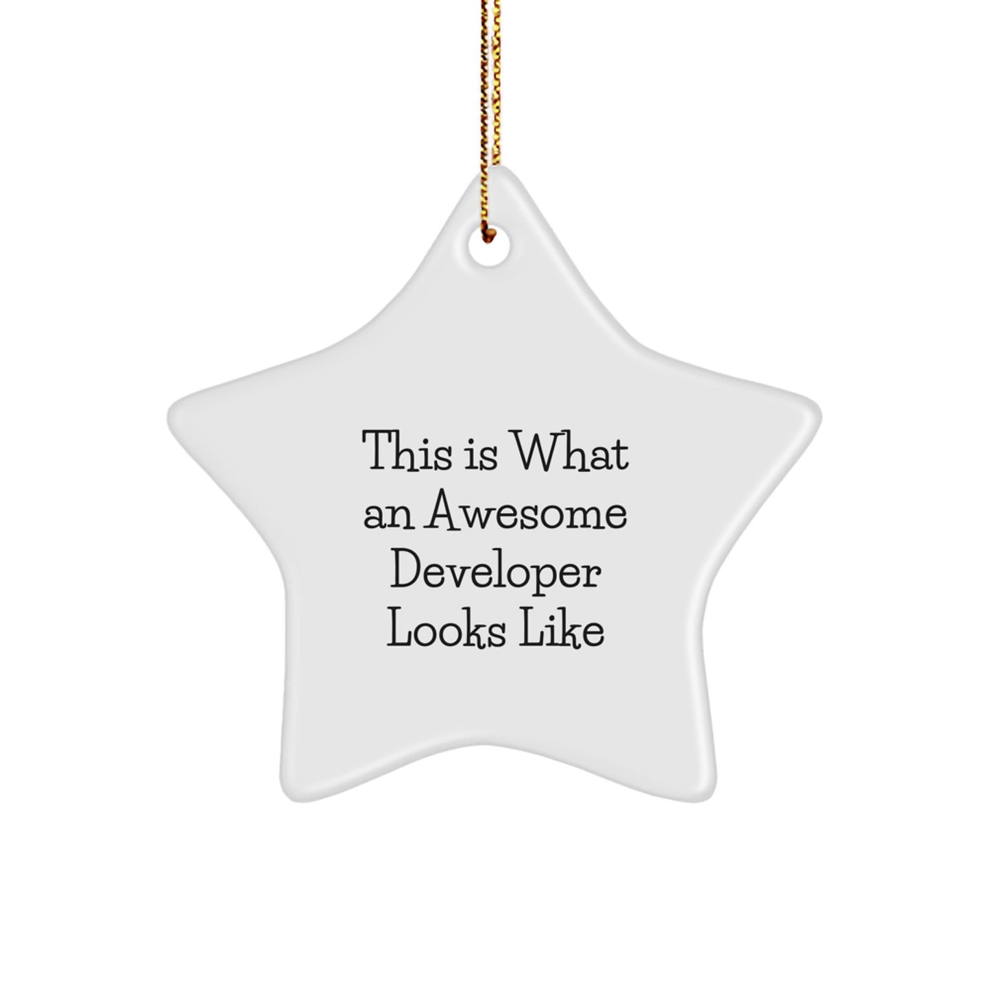 Funny Developer Star Ornament Gifts from Family for Christmas Unique Decorations - Image 1