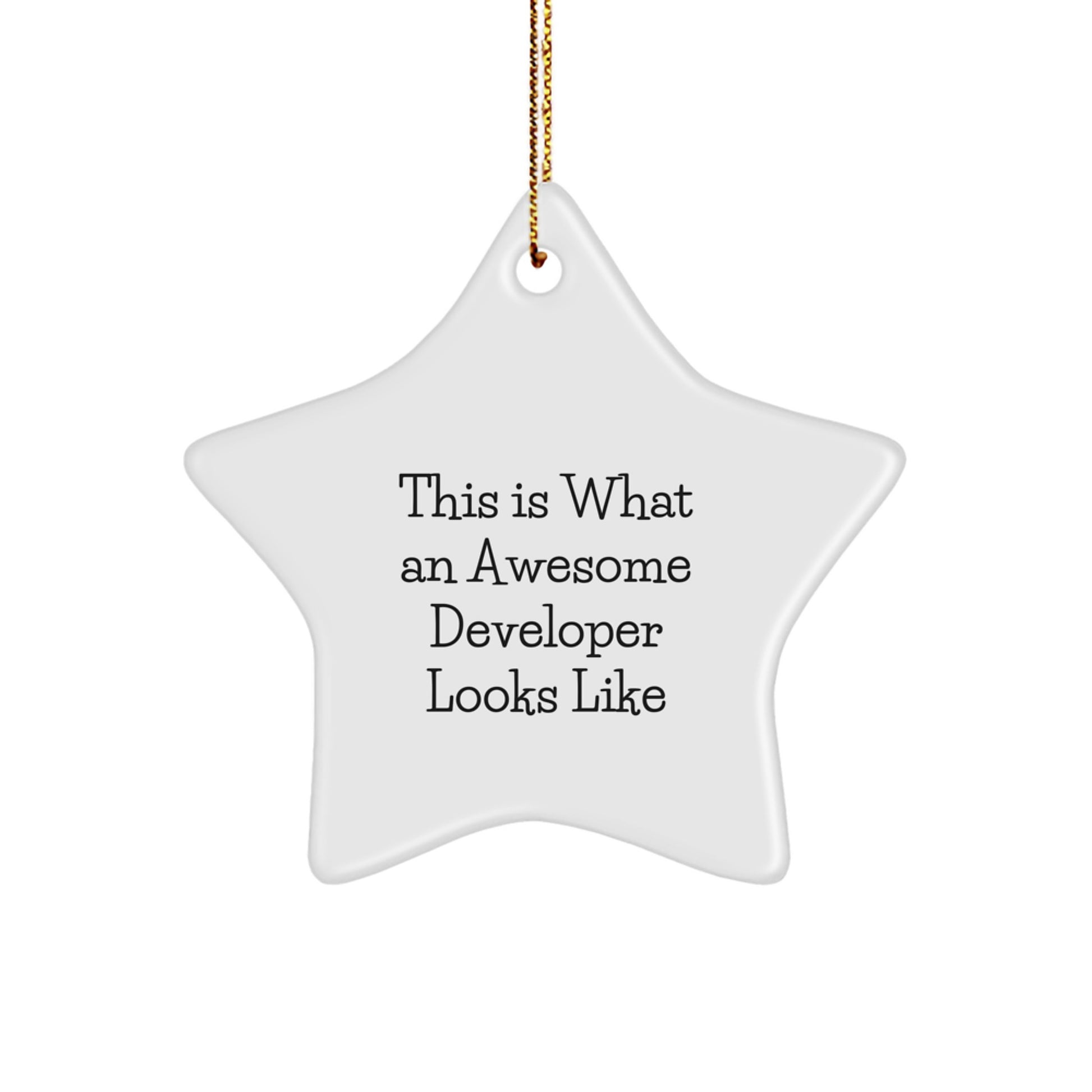 Funny Developer Star Ornament Gifts from Family for Christmas Unique Decorations - Image 1