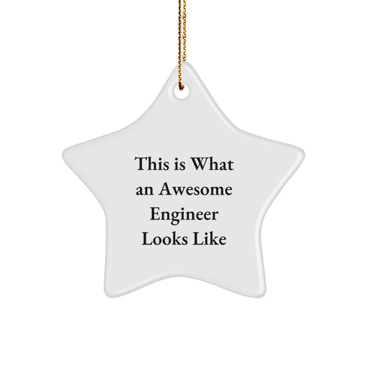 Funny Engineer Gifts from Men, Unique Star Ornament for Engineer Friends, This Is What 'An Awesome Engineer Looks Like' Christmas Decorations - Image 1