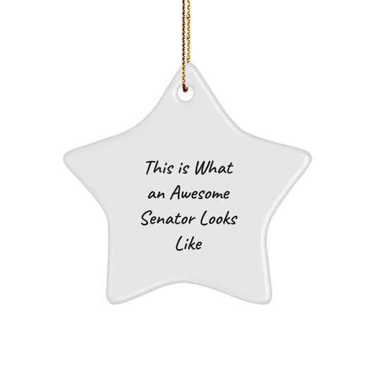 Funny Senator Star Ornament, Gifts from Men to Senator, This Is What An Awesome Senator Looks Like, Unique Christmas Unique Gifts for Senator, Star Ornament for Senator - Image 1